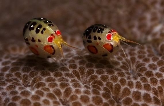 hawa ï๑ tweet media