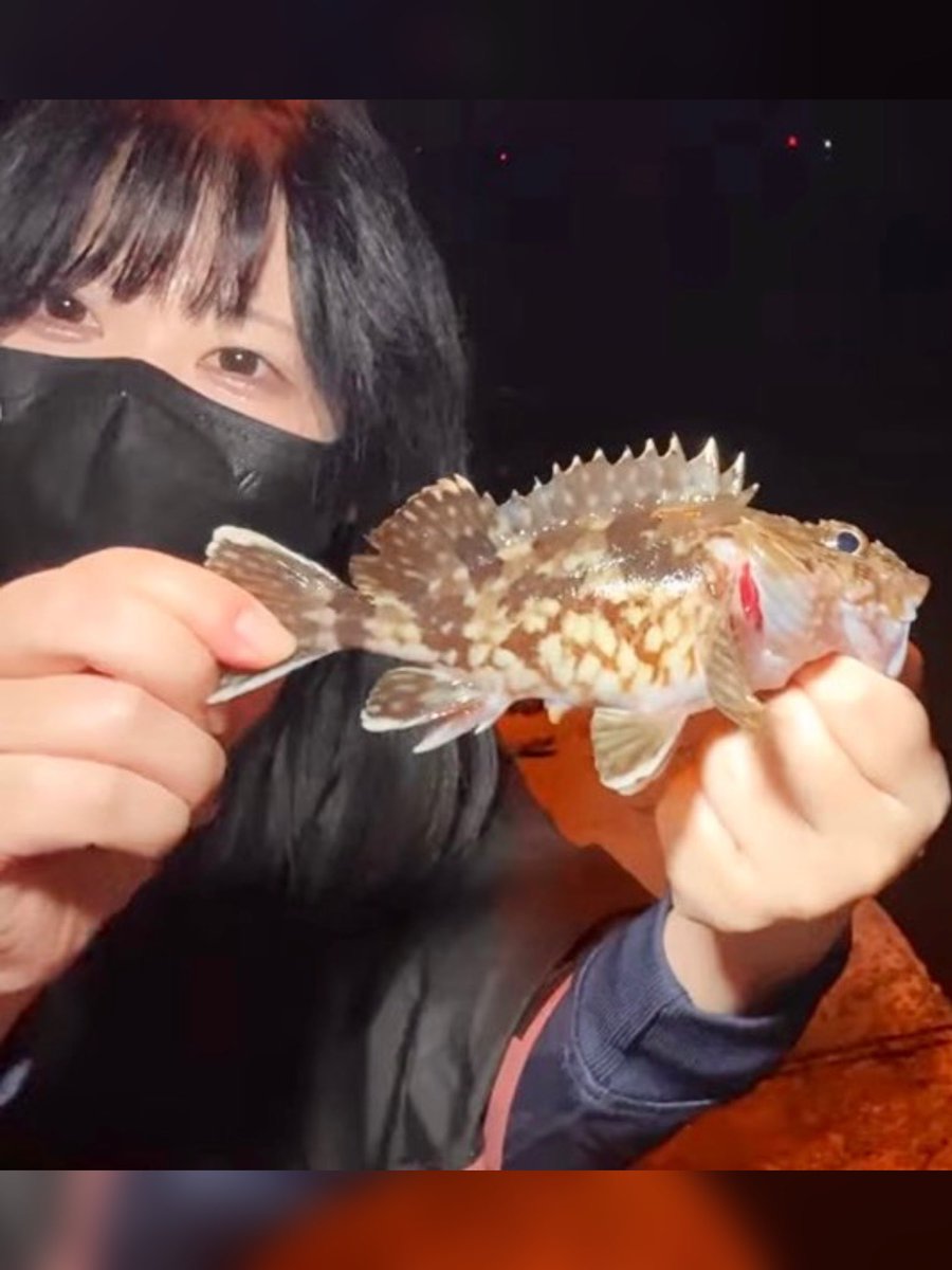 わたつり🦍@わたしは釣りがやってみたい tweet media