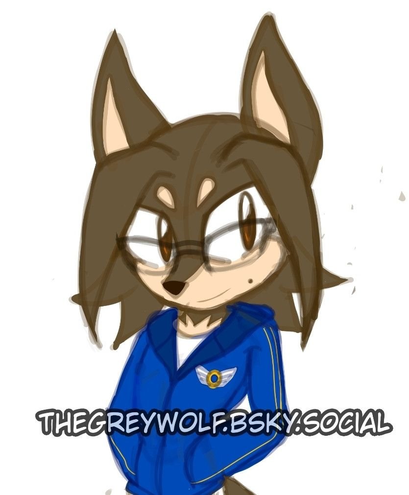 Ended up redesigning my sona on my birthday. Figured I could do better than just another wolf/dog character to my existing oc roster.

#sonicoc #sonicartist