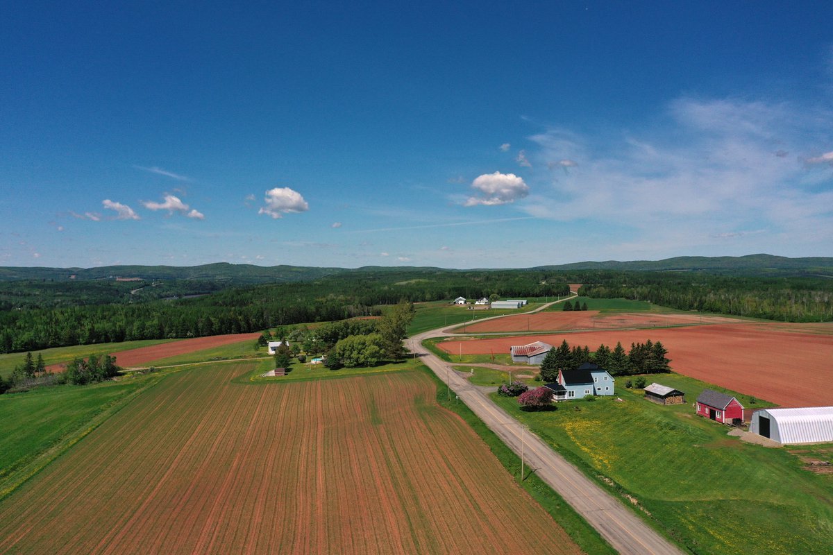 Tim MacKellar tweet media