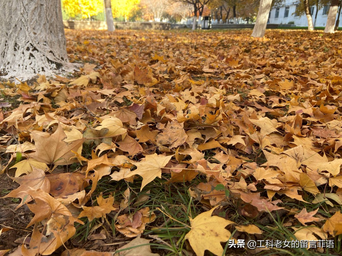 FahimC95 tweet media