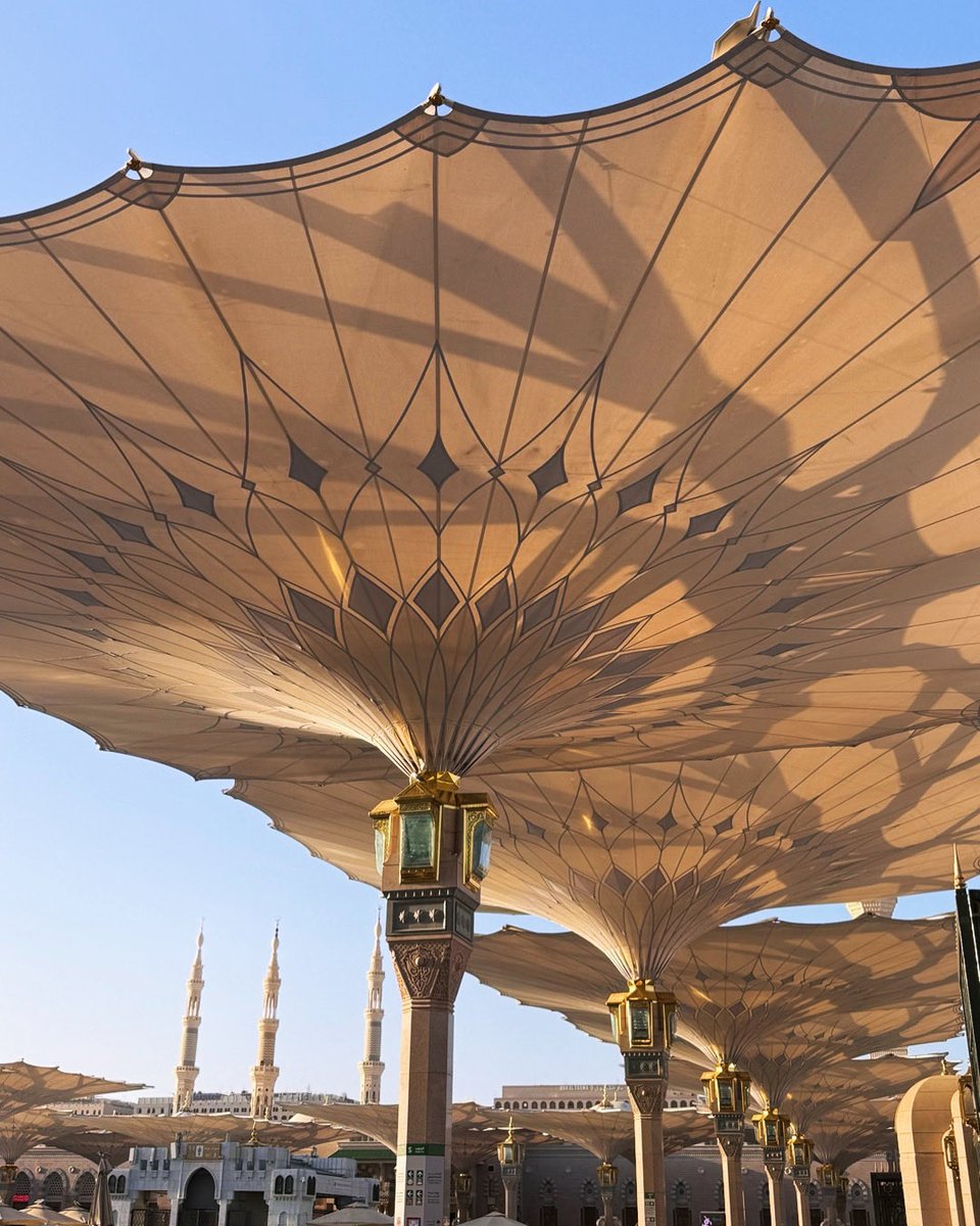 Liberation Of The Soul tweet media