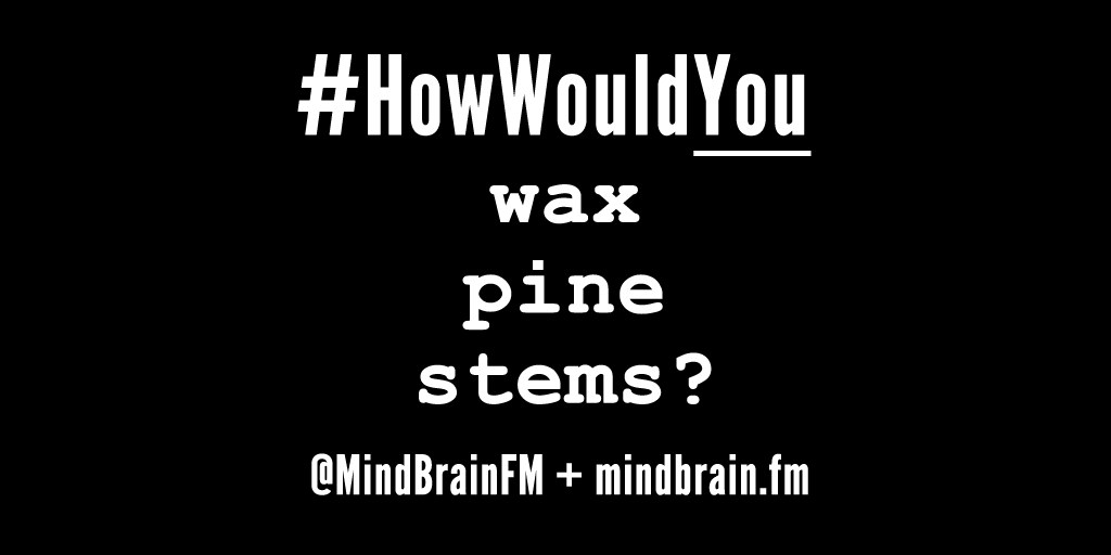 HowWouldYou...💡⚡ tweet media