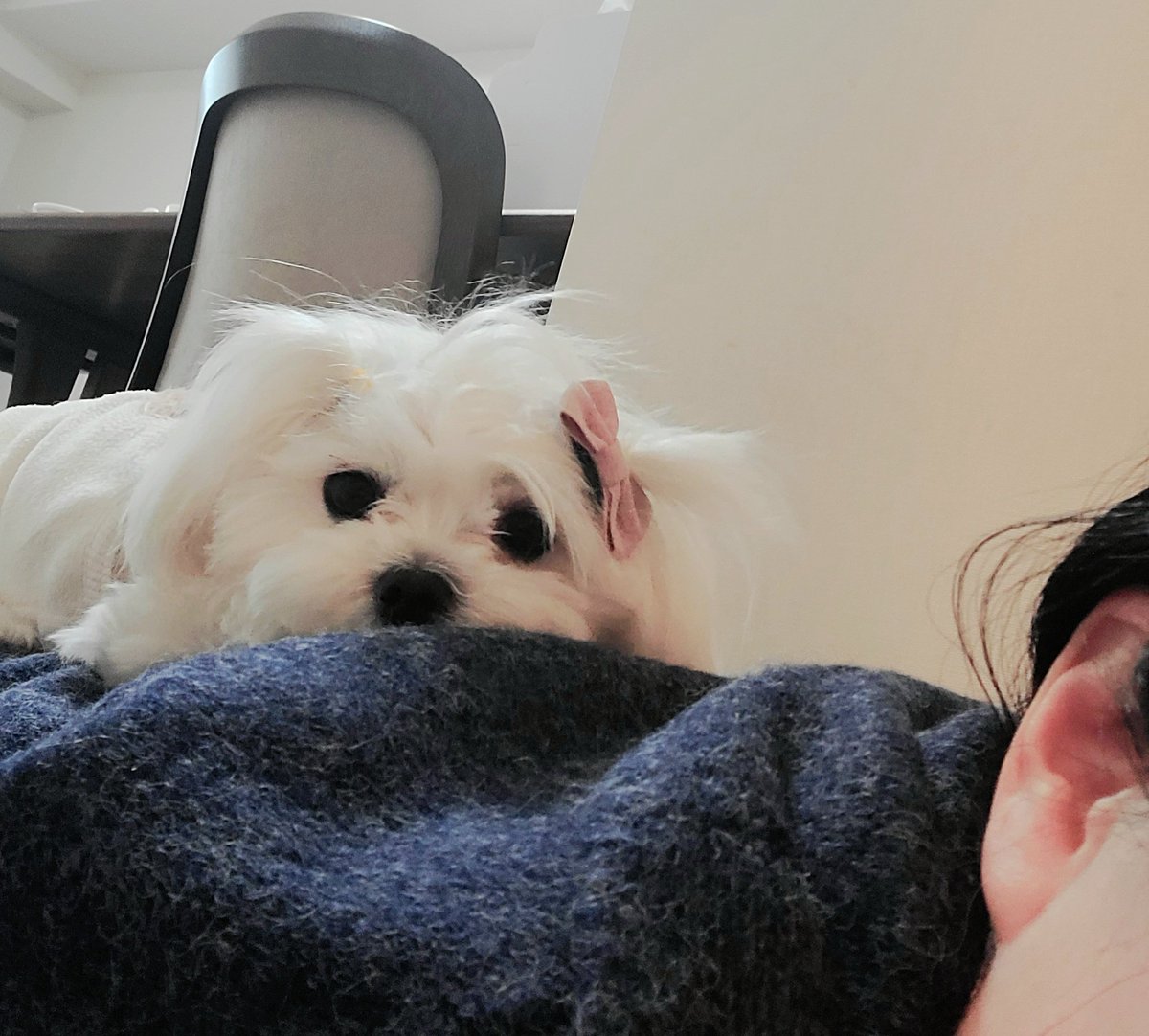 keiko strawberry tweet media