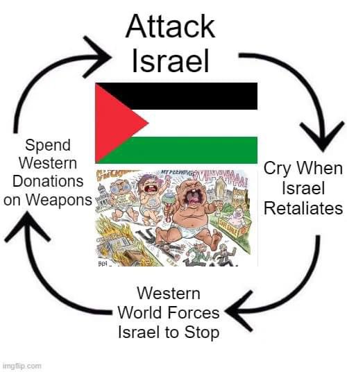 网评员你别哭了 tweet media