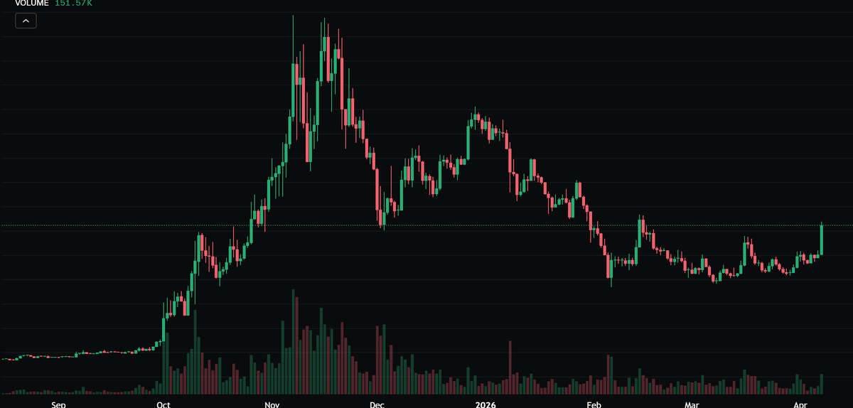 ryan walpole 🛡️ tweet media