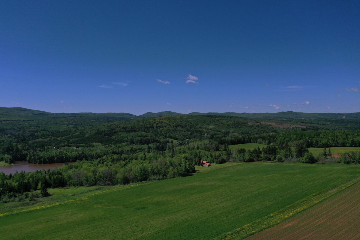 Tim MacKellar tweet media