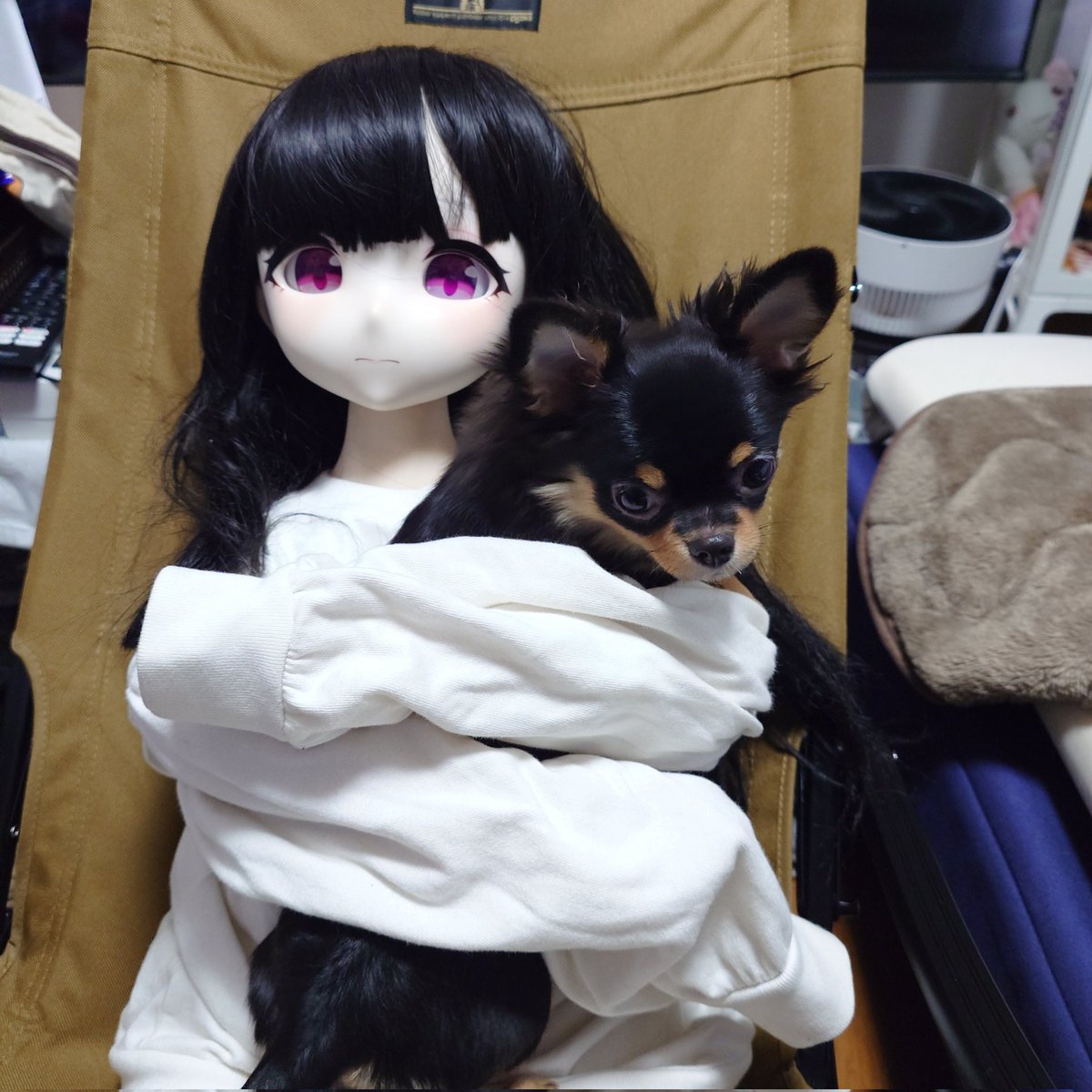 でら えーて tweet media