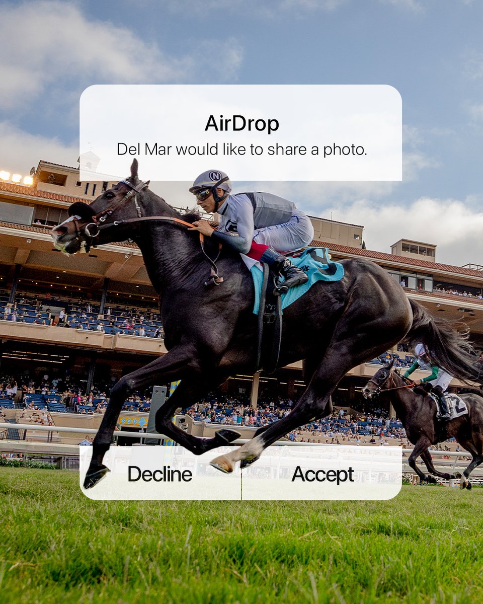 Del Mar Racetrack tweet media