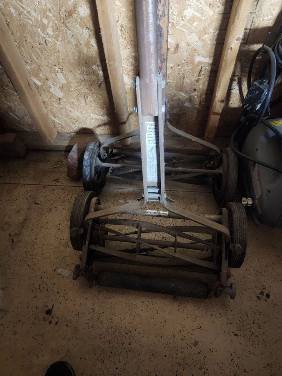 Liberta Cherguia 🇪🇺 tweet media