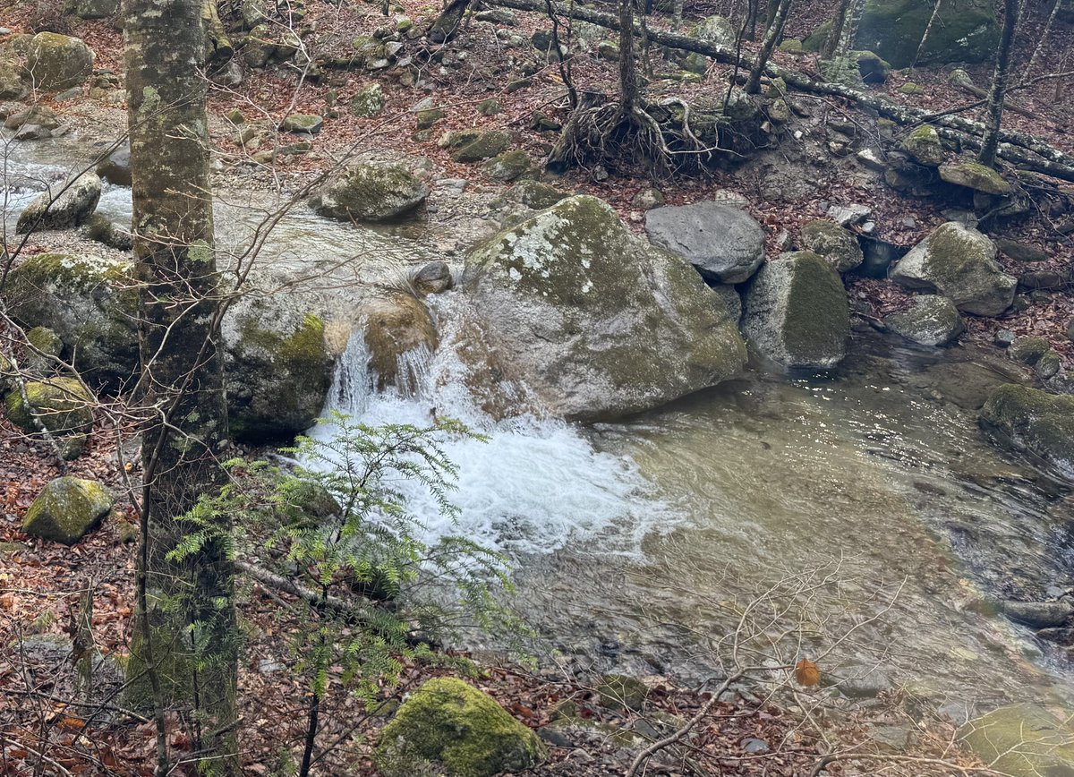 かんちゃん tweet media