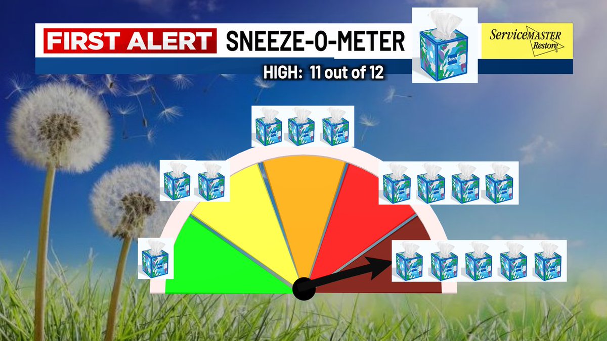 FIRST ALERT// Sneeze-O-Meter shows HIGH pollen count.... and a 5 box of Kleenex day!