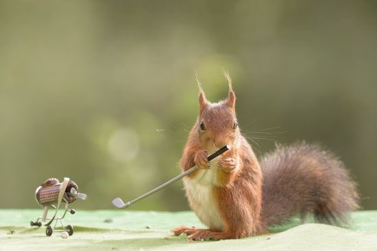 Pater Voster tweet media