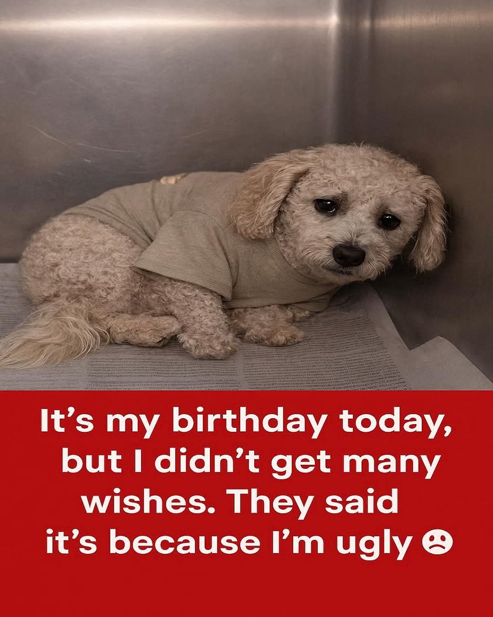 Kristina Bolten tweet media