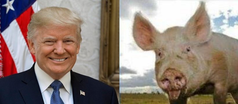 prostaknaga tweet media