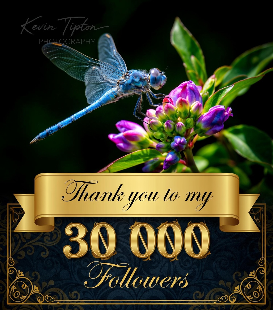 Capt KEVman!!! tweet media