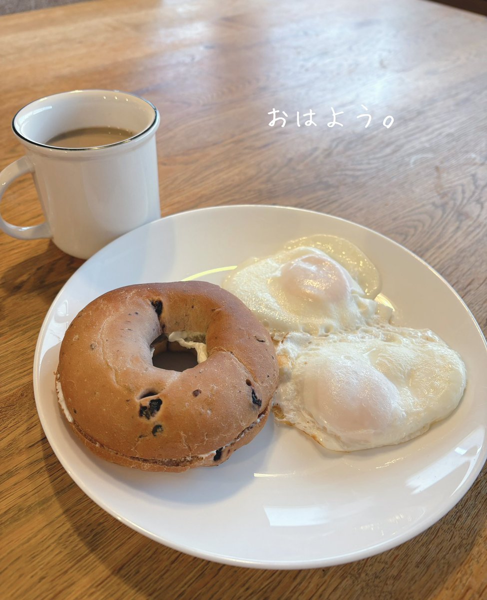 本日所用で仕事休み〜\( ᐛ )/ブルーベリーベーグルと目玉焼き2個の大好き朝ごはん🥯バイクは乗る時間無さそうです😮‍💨

 #バイク女子  #レブル250