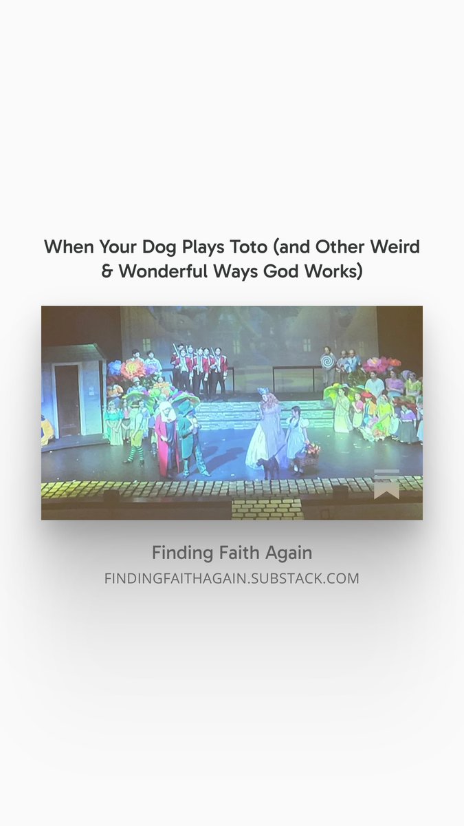 laurie_nichols's tweet image. My little Duncan played Toto in the school play!

#findingfaithagain #findingGod #findingfaith #wizardofOz

findingfaithagain.substack.com/p/when-your-do…