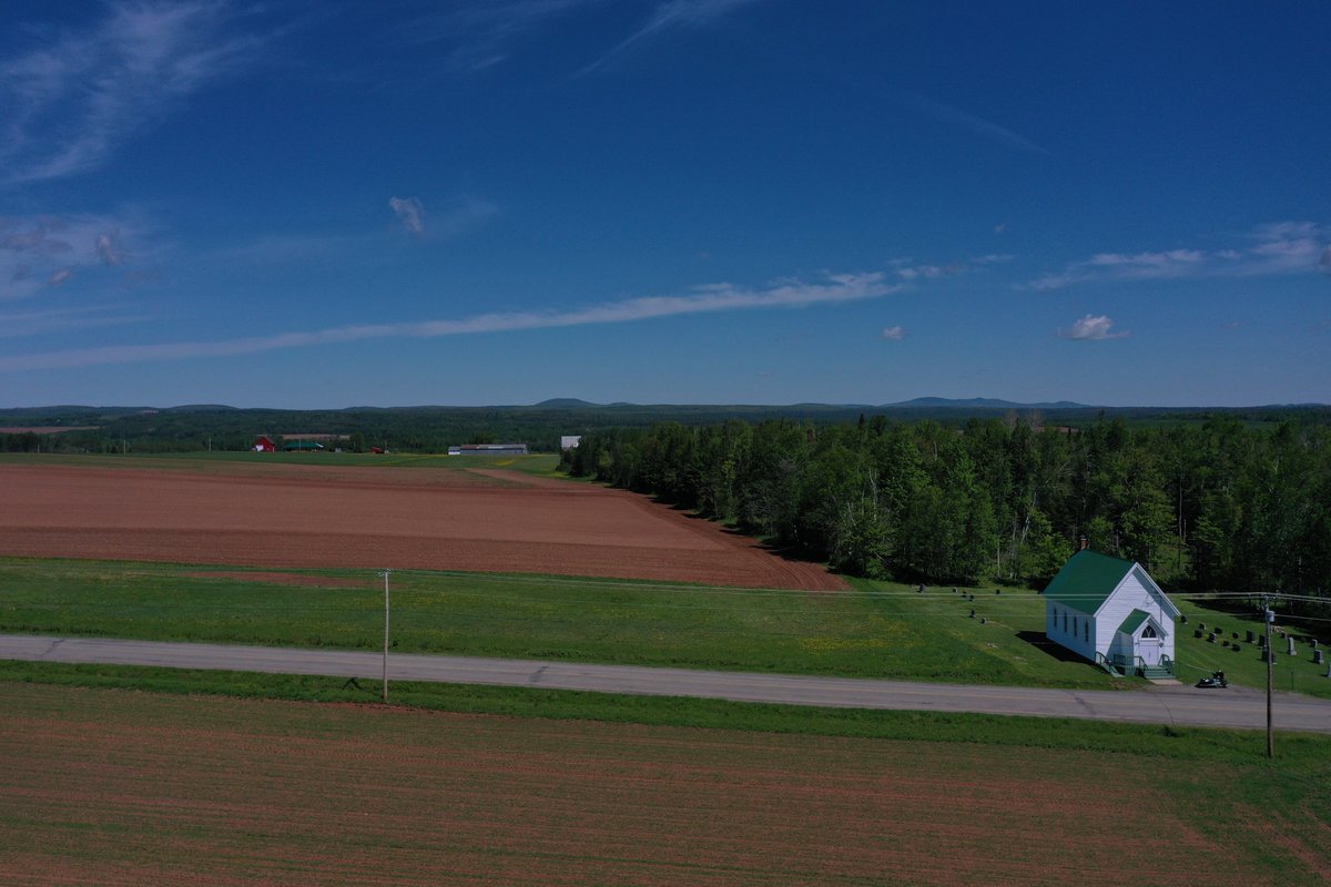 Tim MacKellar tweet media