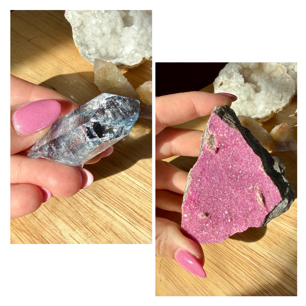 Knox 🌙✨ tweet media