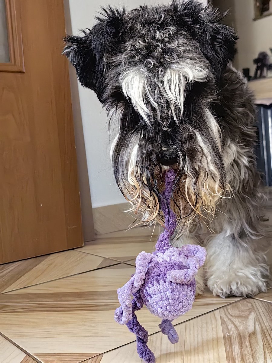 CrochetDraw's tweet photo. @Delulu__Kitten Przesyłamy dobrą energię z Szafranem i Kotletem :) https://t.co/296T59lEfy