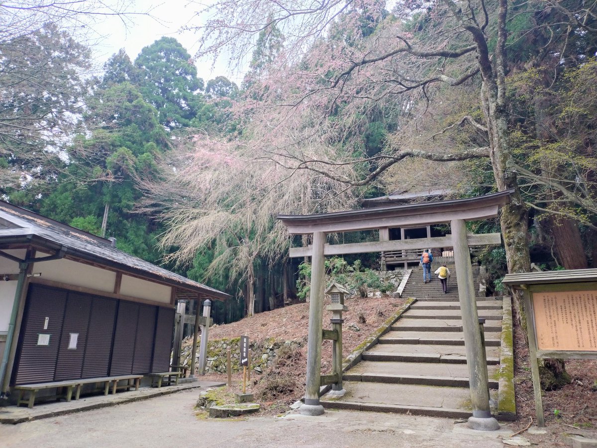 cococonokokoko tweet media