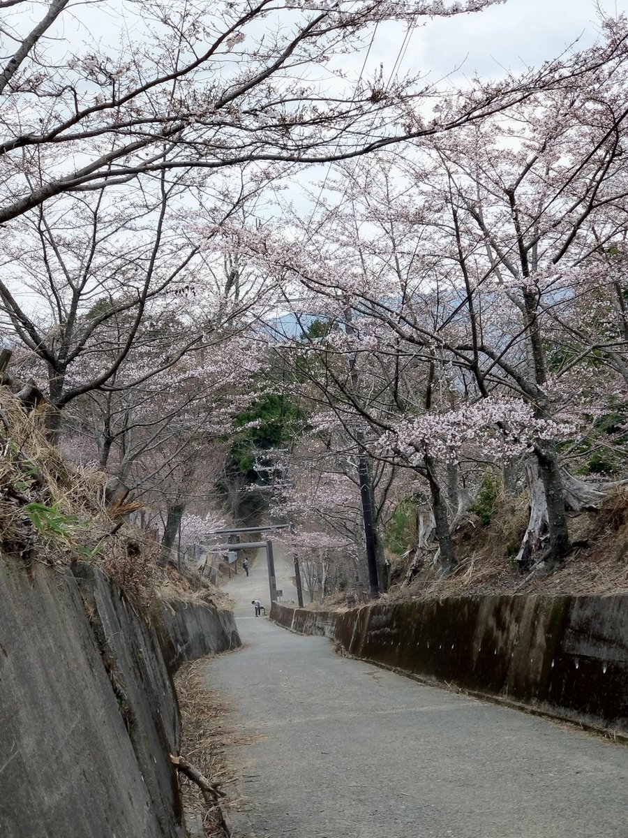 cococonokokoko tweet media