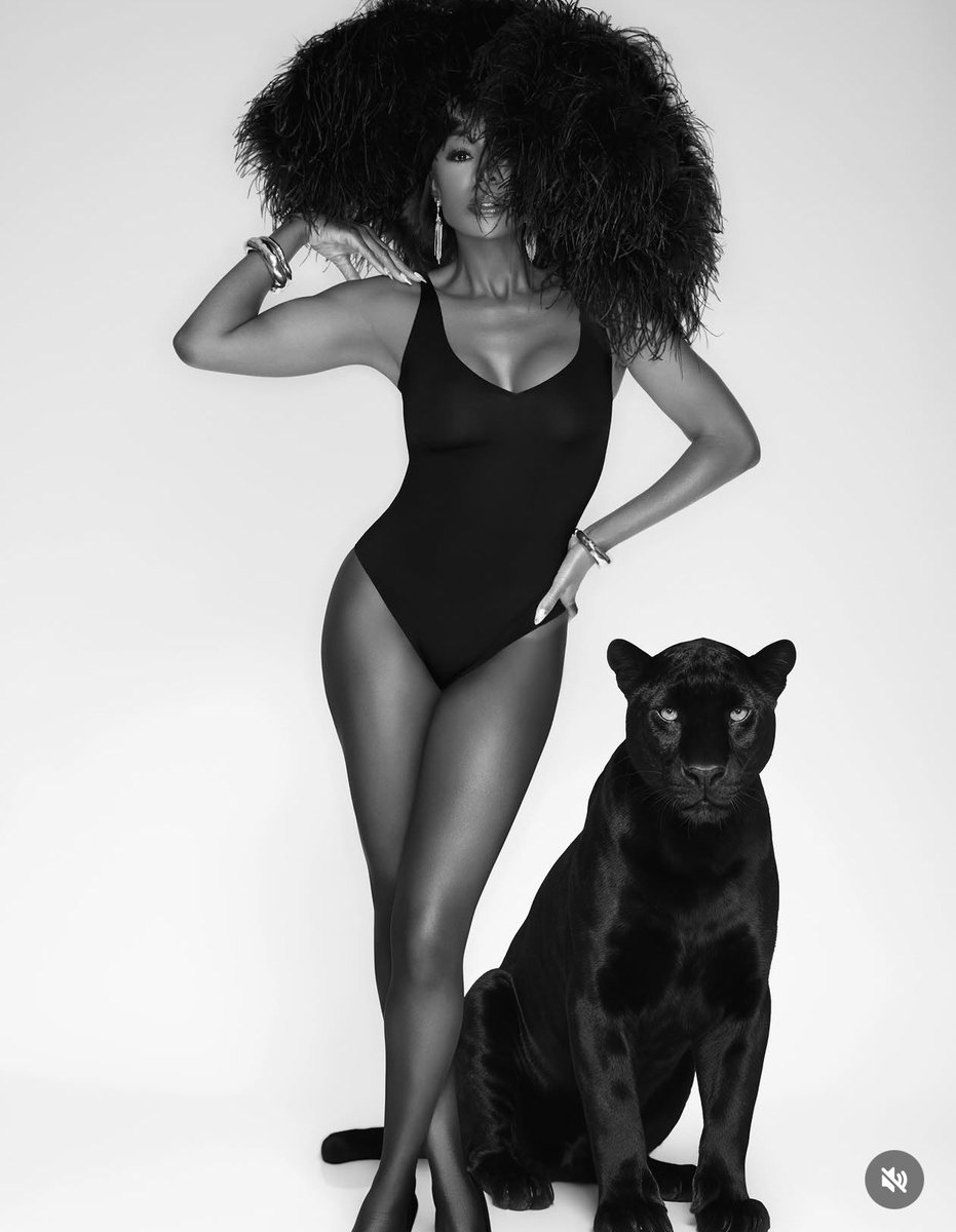 K E M P I R E 🐘 tweet media