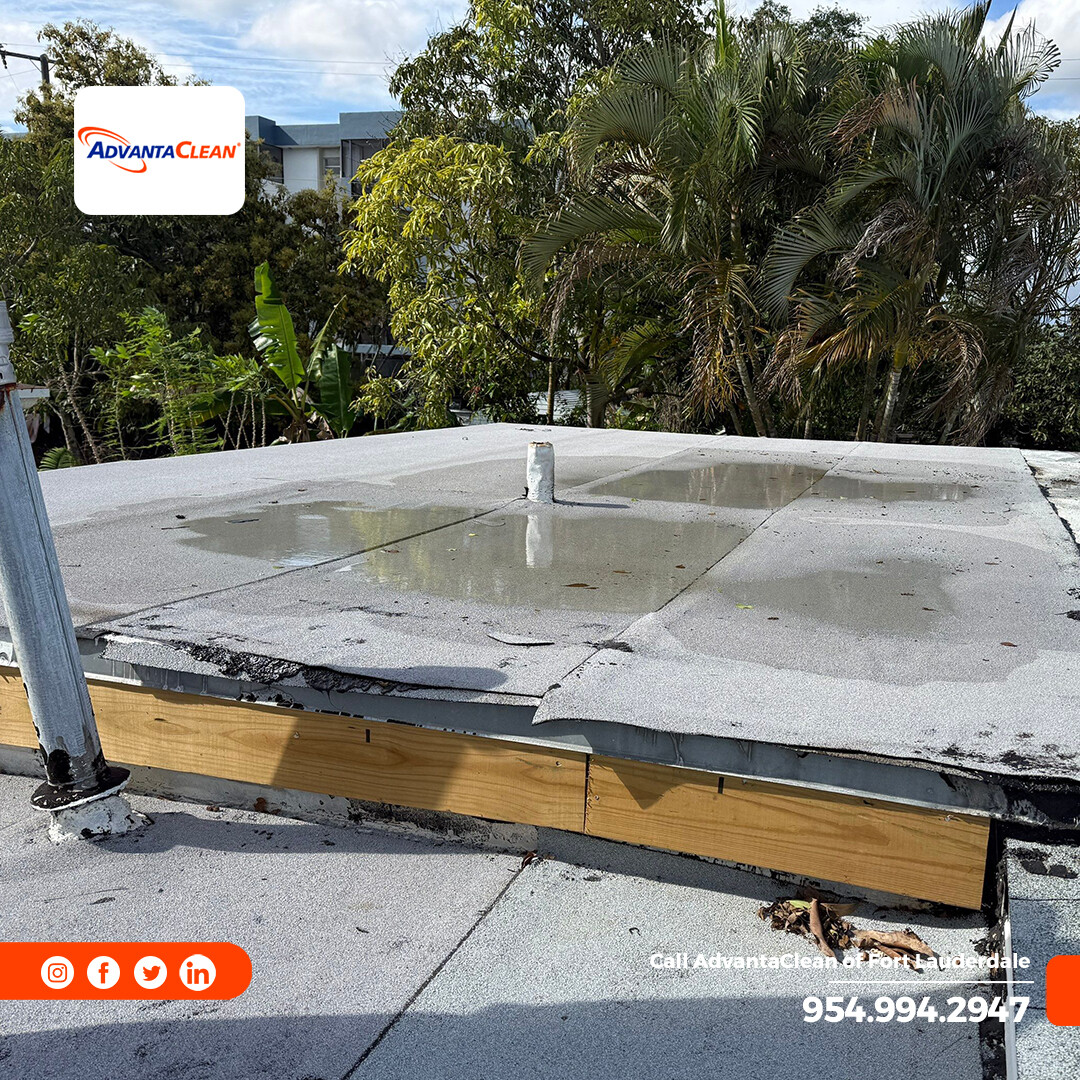 AdvantaClean Of Fort Lauderdale tweet media