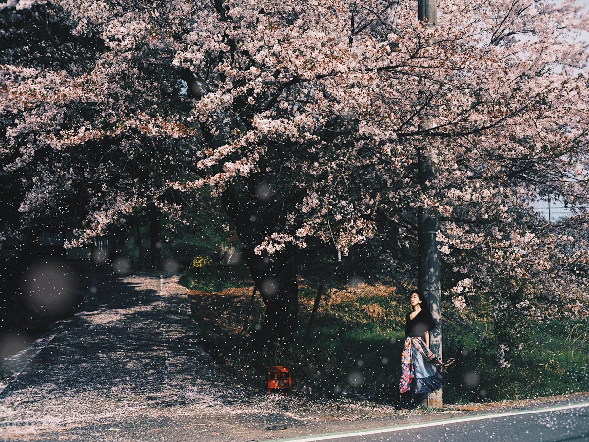 山中 夏歩 tweet media