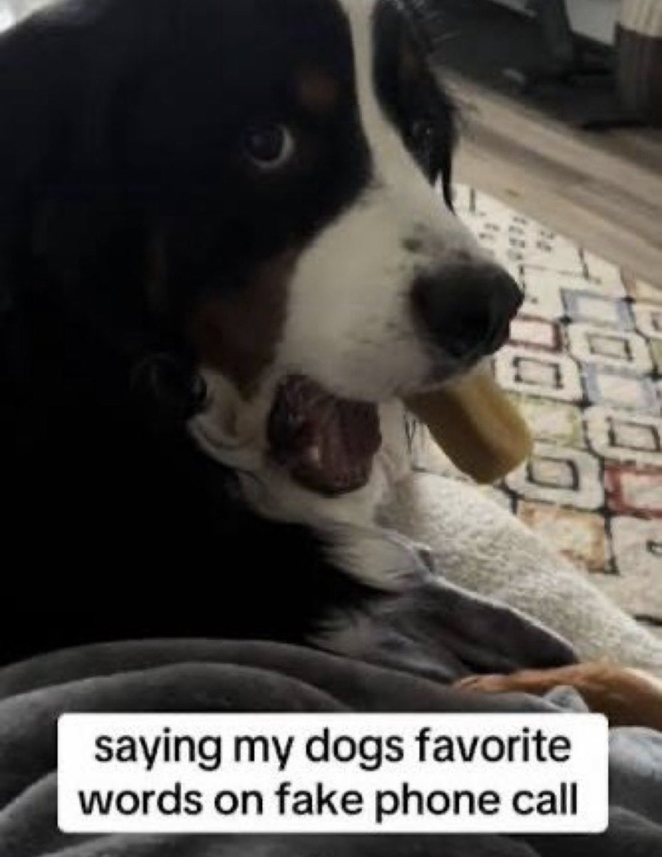 faye 🫧 #mistyfinalgirl tweet media