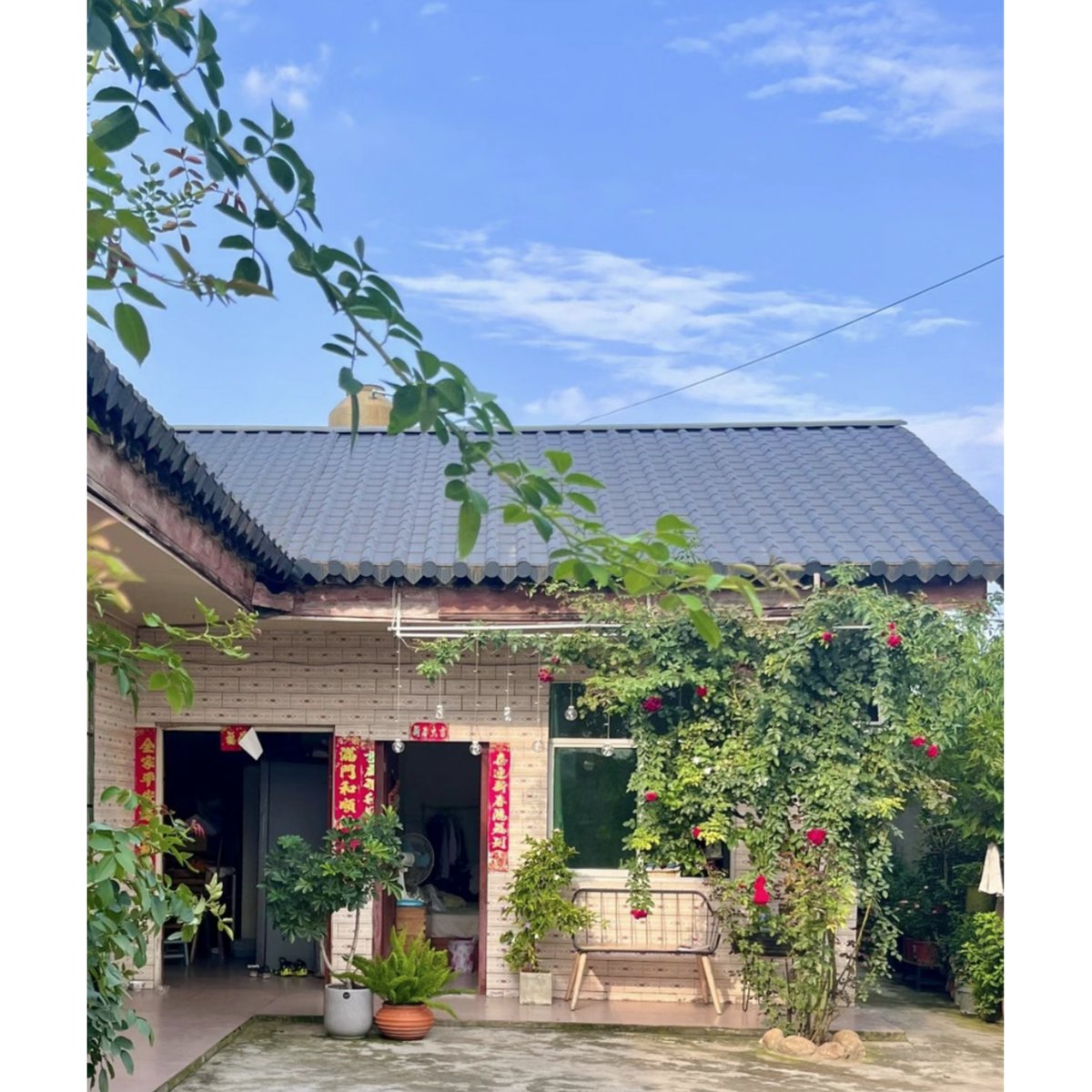 Amy Robbins tweet media