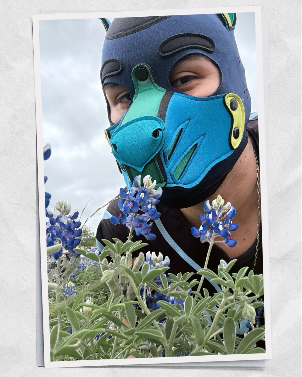 Maldita Perra tweet media