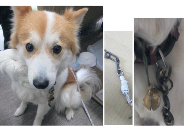 ヘタレ福祉職員@痛恨のヤメルヤメル詐欺 tweet media