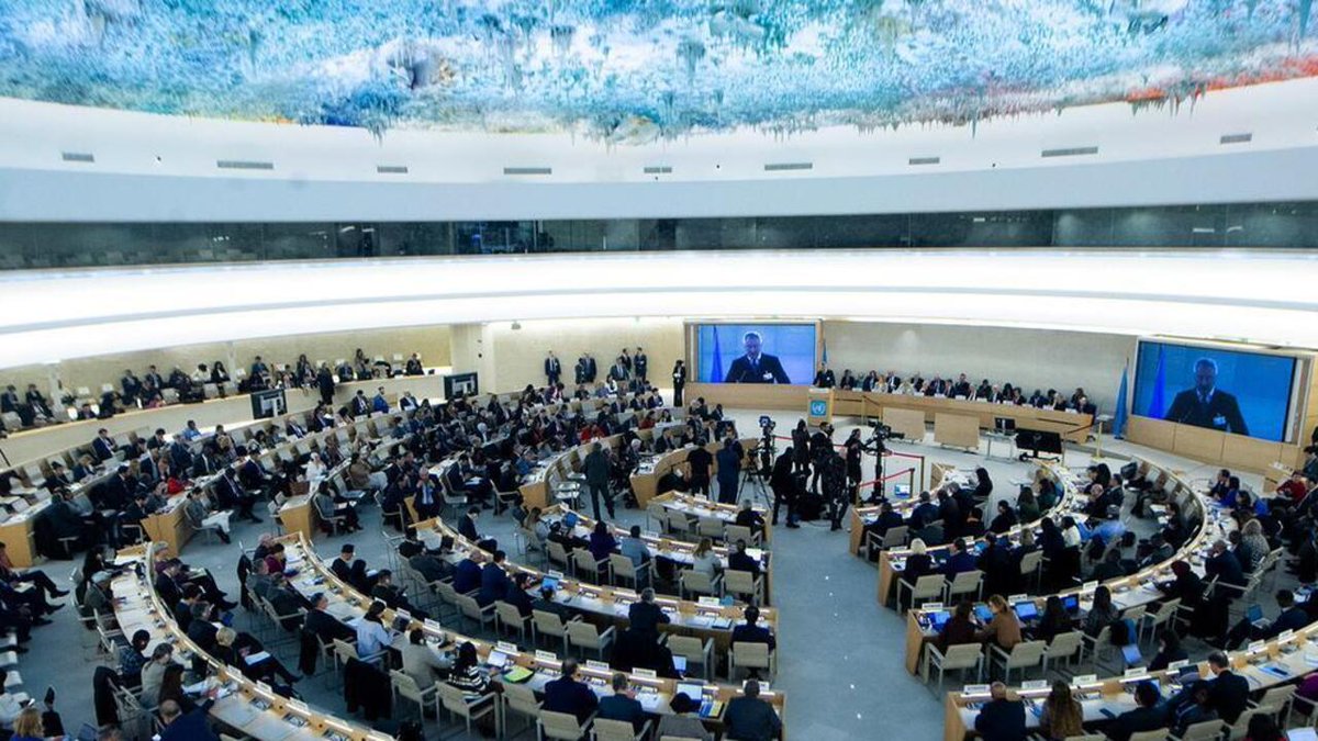 RFI 华语 - 法国国际广播电台 tweet media