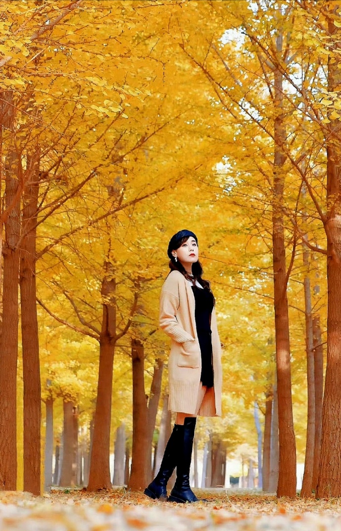CATHVEGA's tweet photo. Autumn breeze u0026 golden leaves—perfect day for a walk! https://t.co/4Gtx7wR3c0