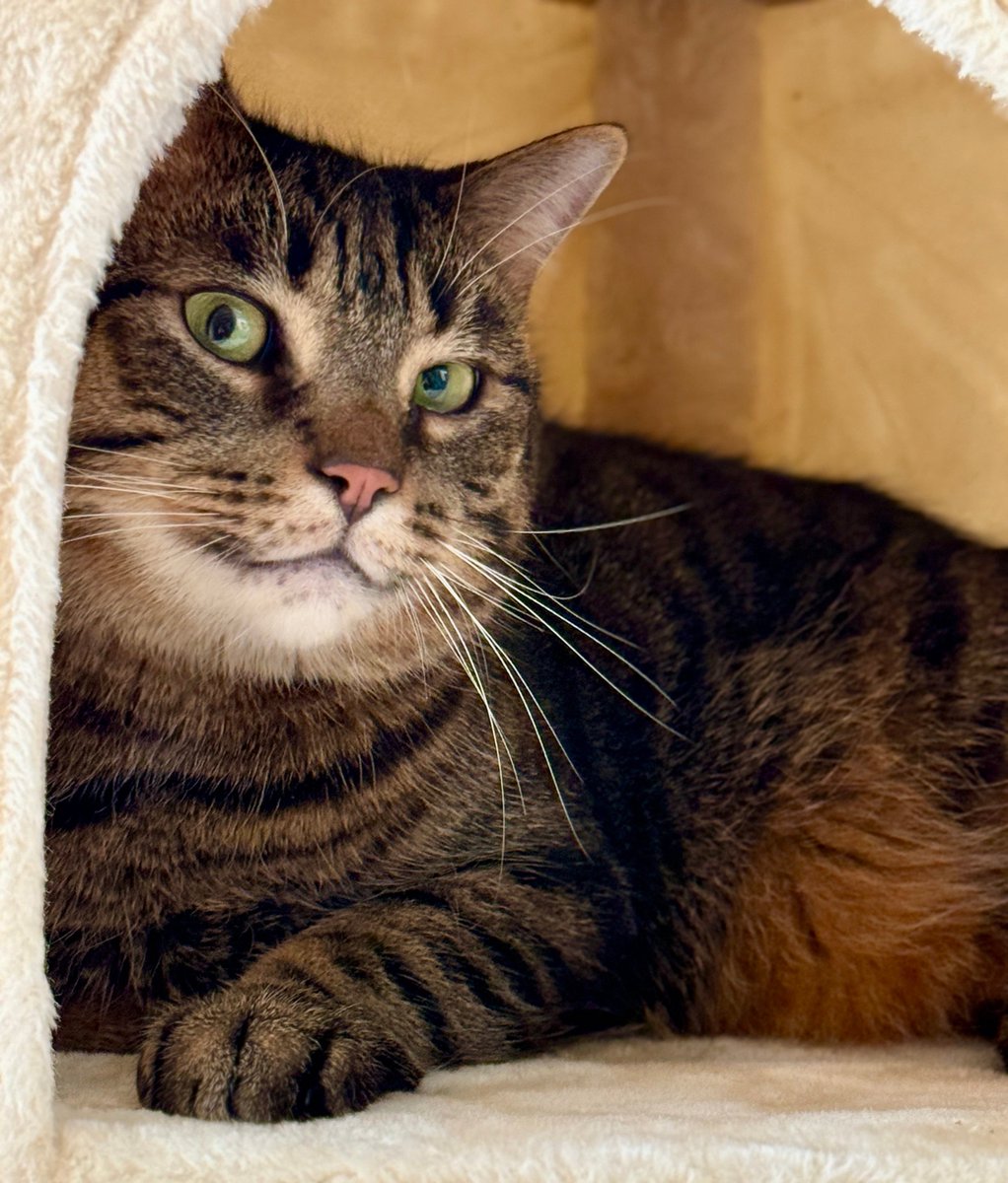 For the love of Missy. tweet media