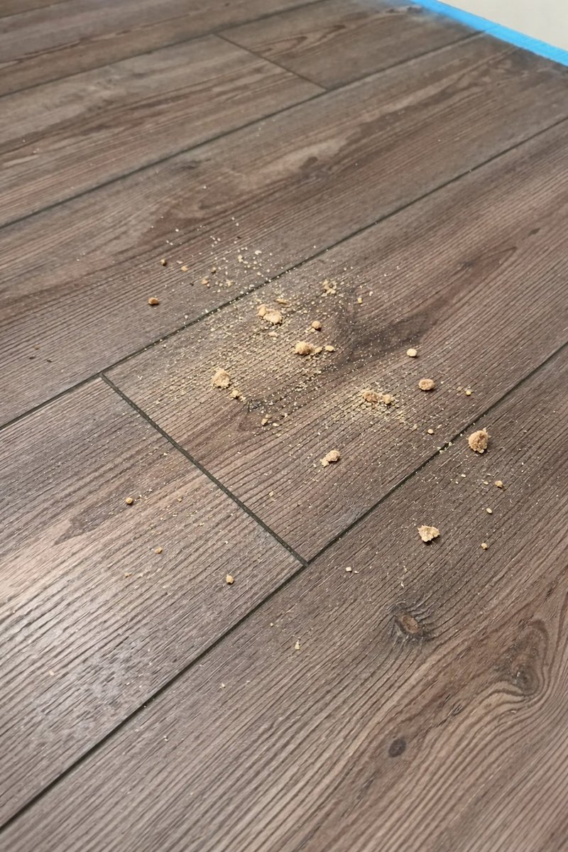 mar 🍒 tweet media