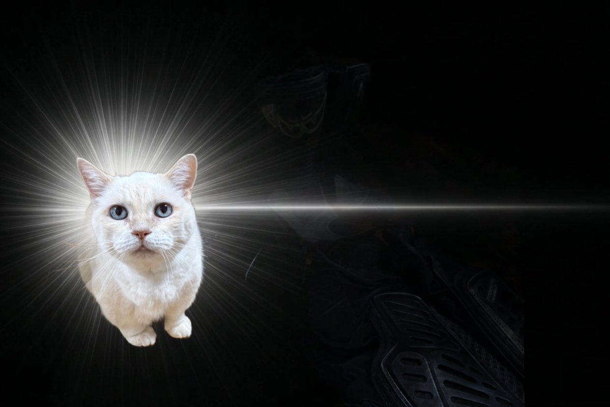 たかすけ tweet media