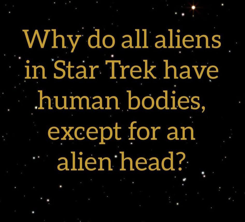 MEAD The 4K💿 Master (Tom Connors) tweet media