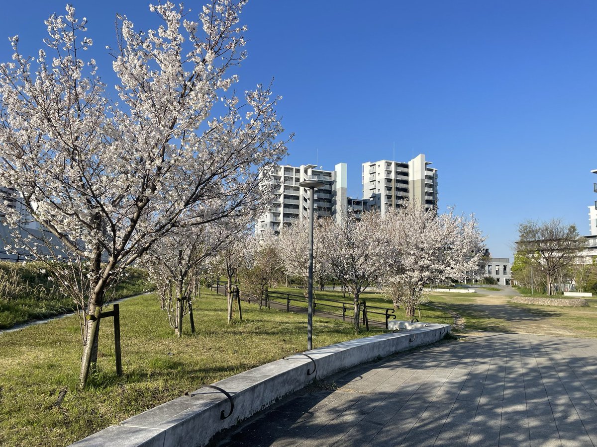 Tatsuya YABUUCHI tweet media