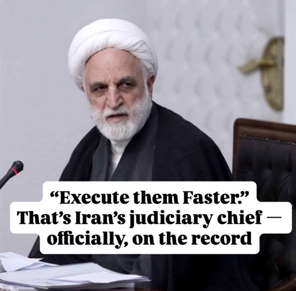 Marziyeh Amirizadeh مرضیه امیری زاده tweet media