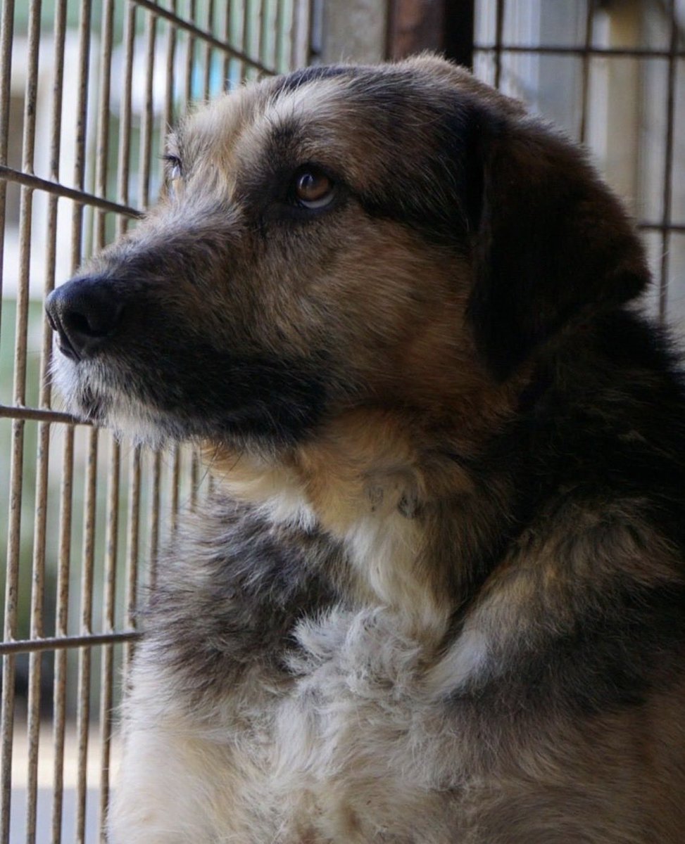 Ana Di Zacco tweet media