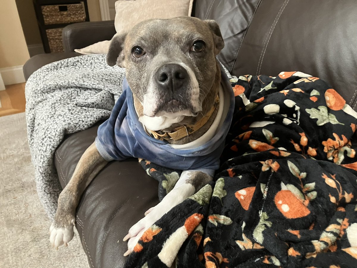 Gv2186 (Liam) tweet media