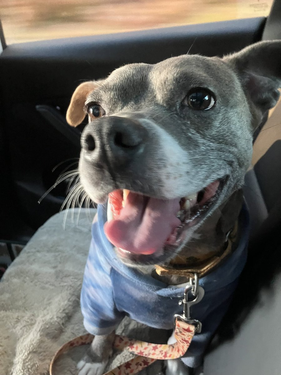 Gv2186 (Liam) tweet media