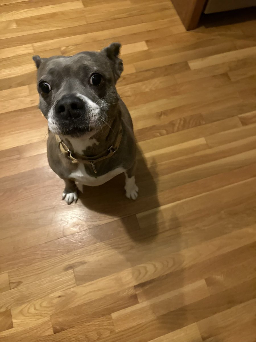 Gv2186 (Liam) tweet media