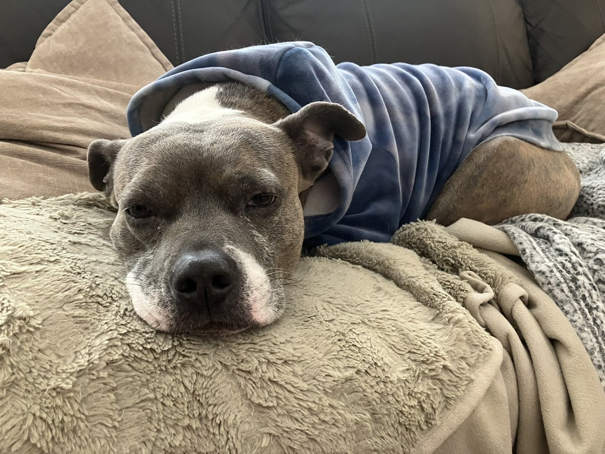 Gv2186 (Liam) tweet media