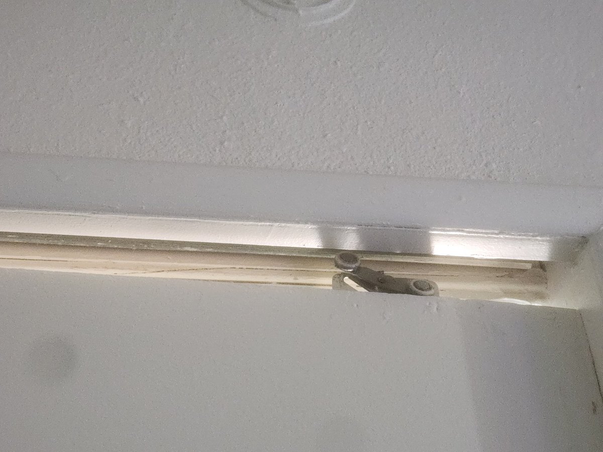 Pastel Bunny ✨️ tweet media