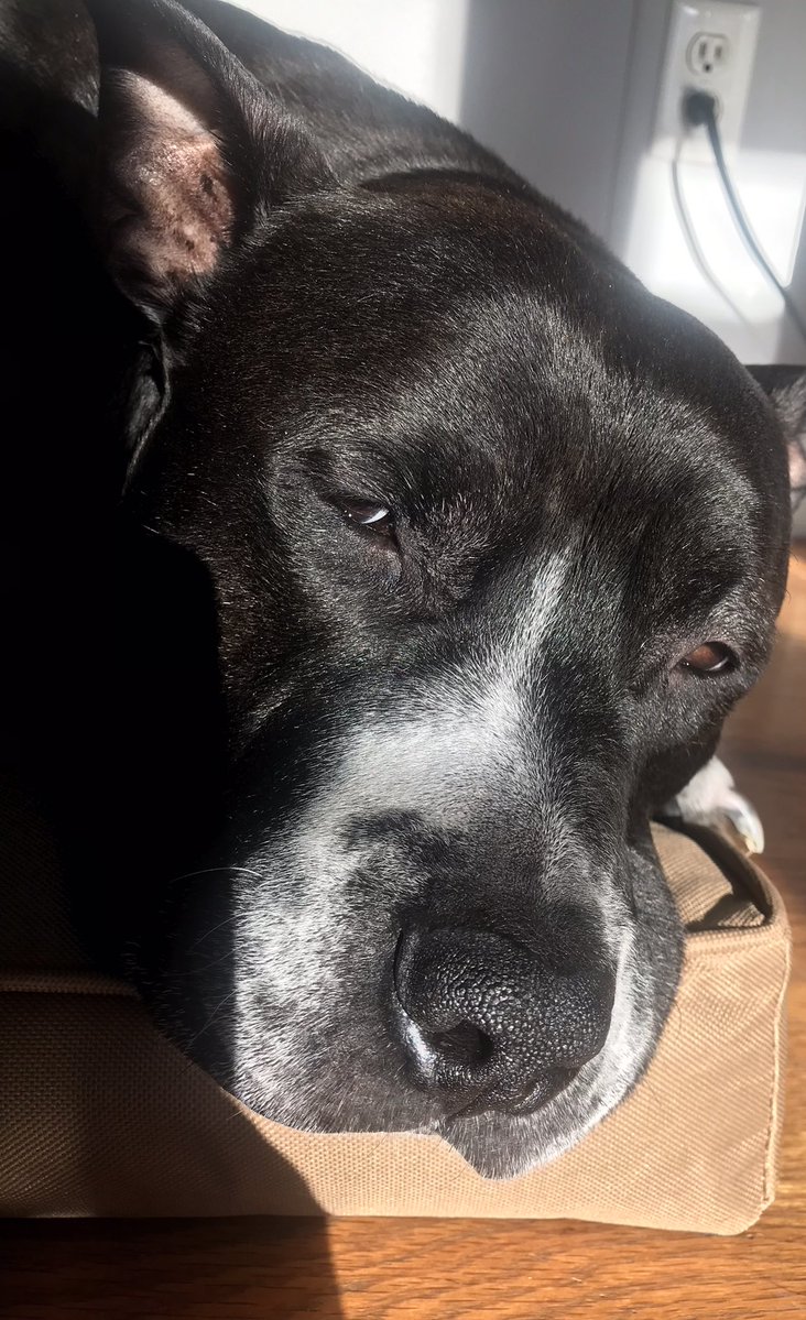 Sweet Man Stan tweet media