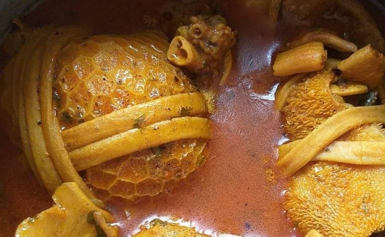 Arquivo Curioso tweet media